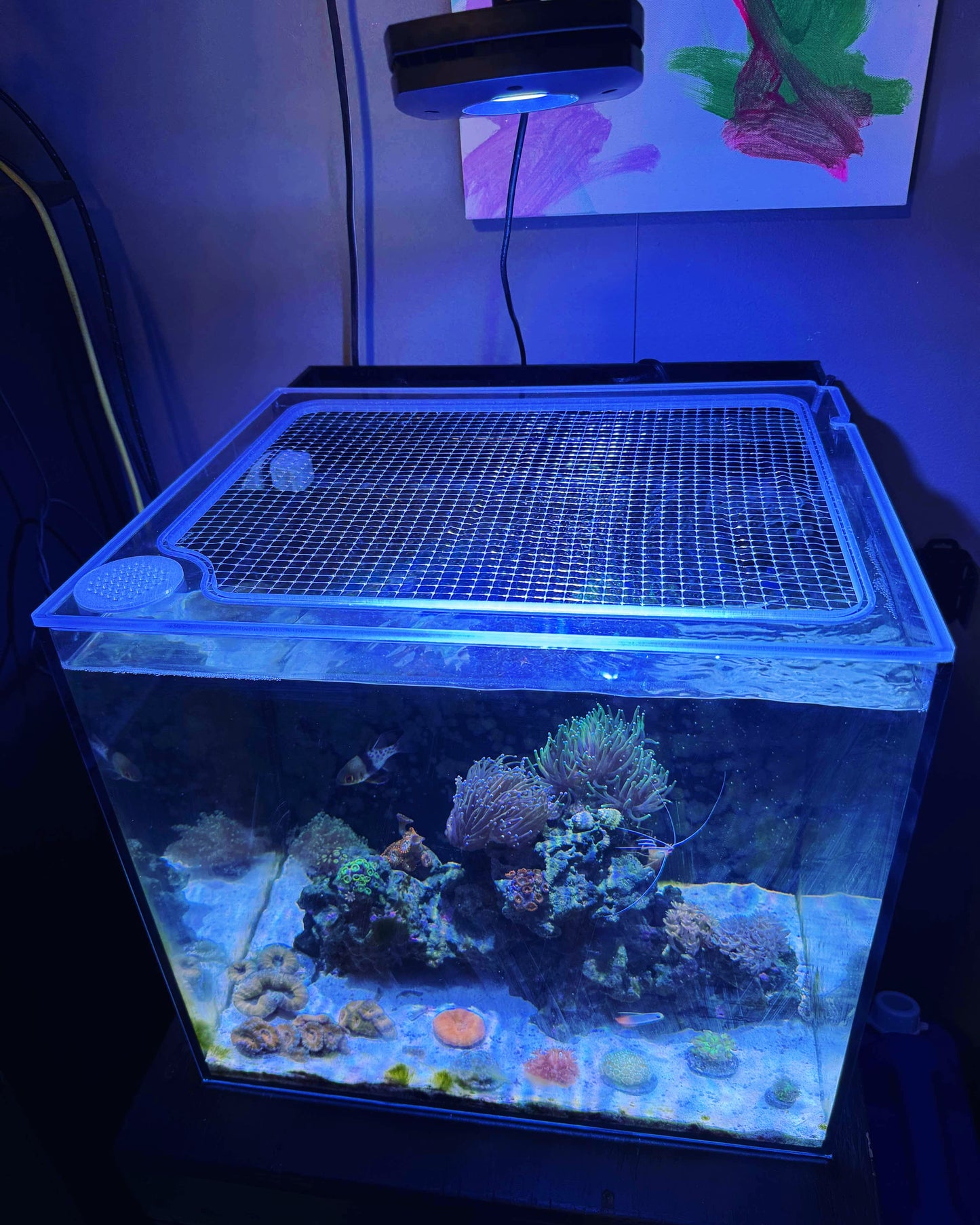 IceCap AIO Mesh Solid Frame Polycarbonate Aquarium Lid