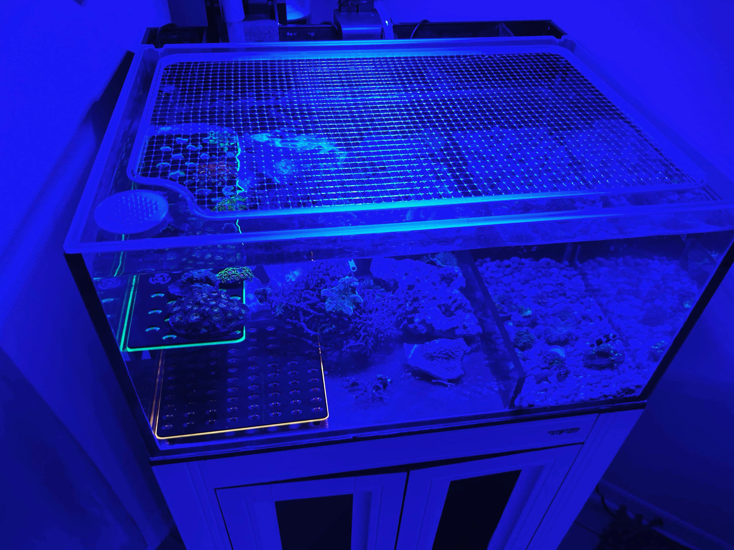 Innovative Marine AIO Mesh Solid Frame Polycarbonate Aquarium Lid