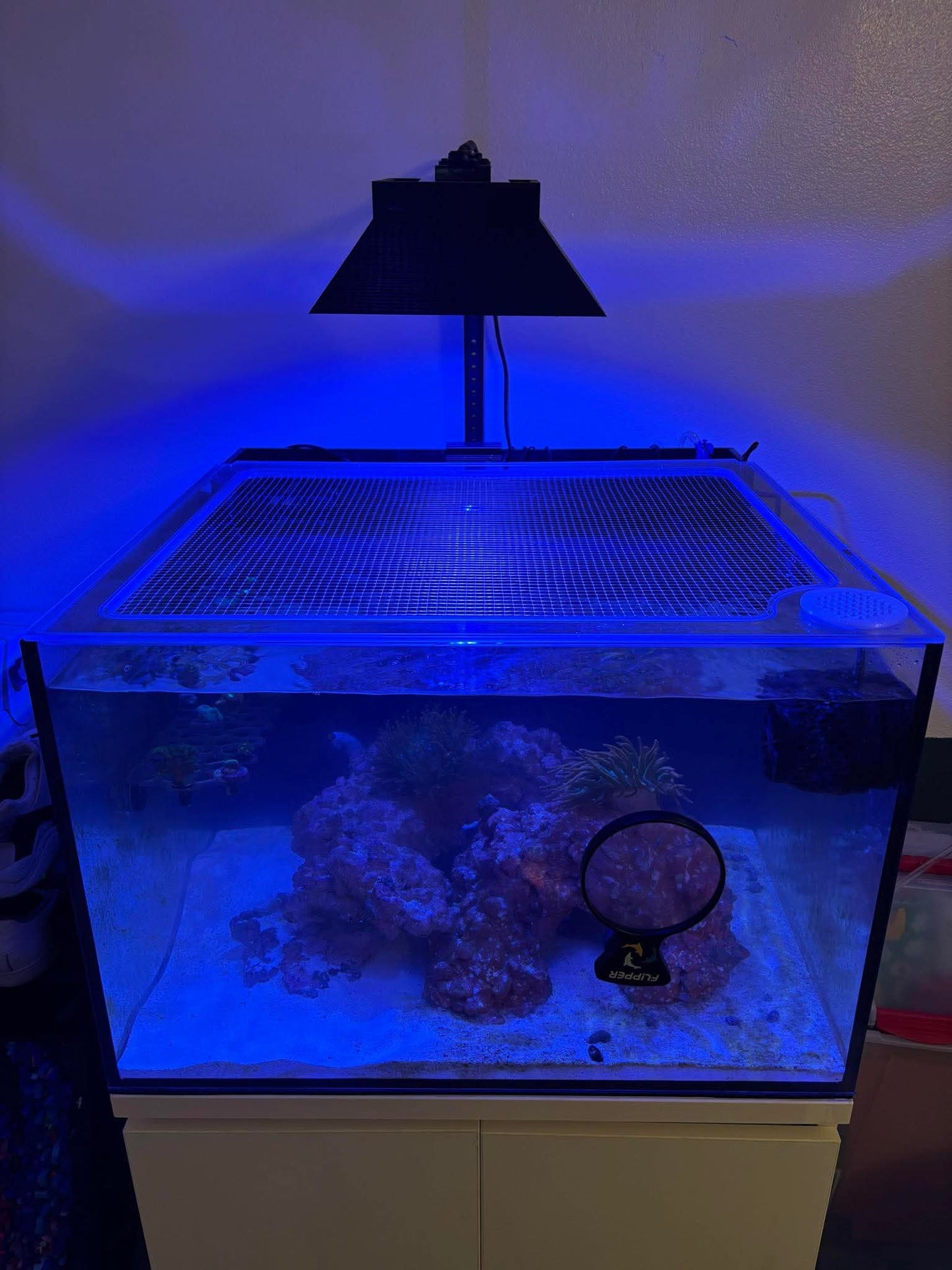 IceCap 20 | 38 | 45 AIO Mesh Solid Frame Polycarbonate Aquarium Lid