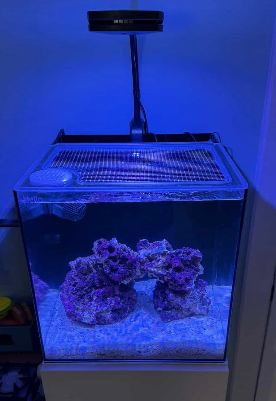 Hello Reef 15 | 33 AIO Mesh Solid Frame Polycarbonate Aquarium Lid