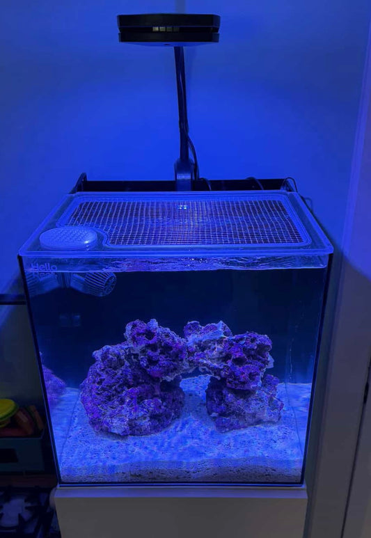 Hello Reef 15 | 33 AIO Mesh Solid Frame Polycarbonate Aquarium Lid
