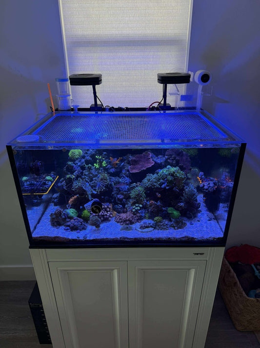 Innovative Marine AIO Mesh Solid Frame Polycarbonate Aquarium Lid