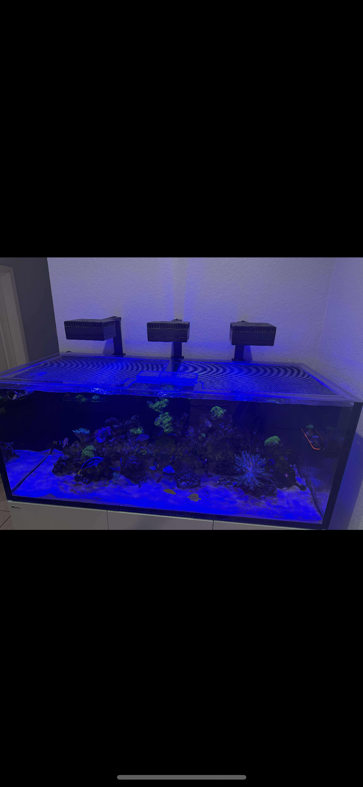 Red Sea Reefer XXL 625 G2/G2+