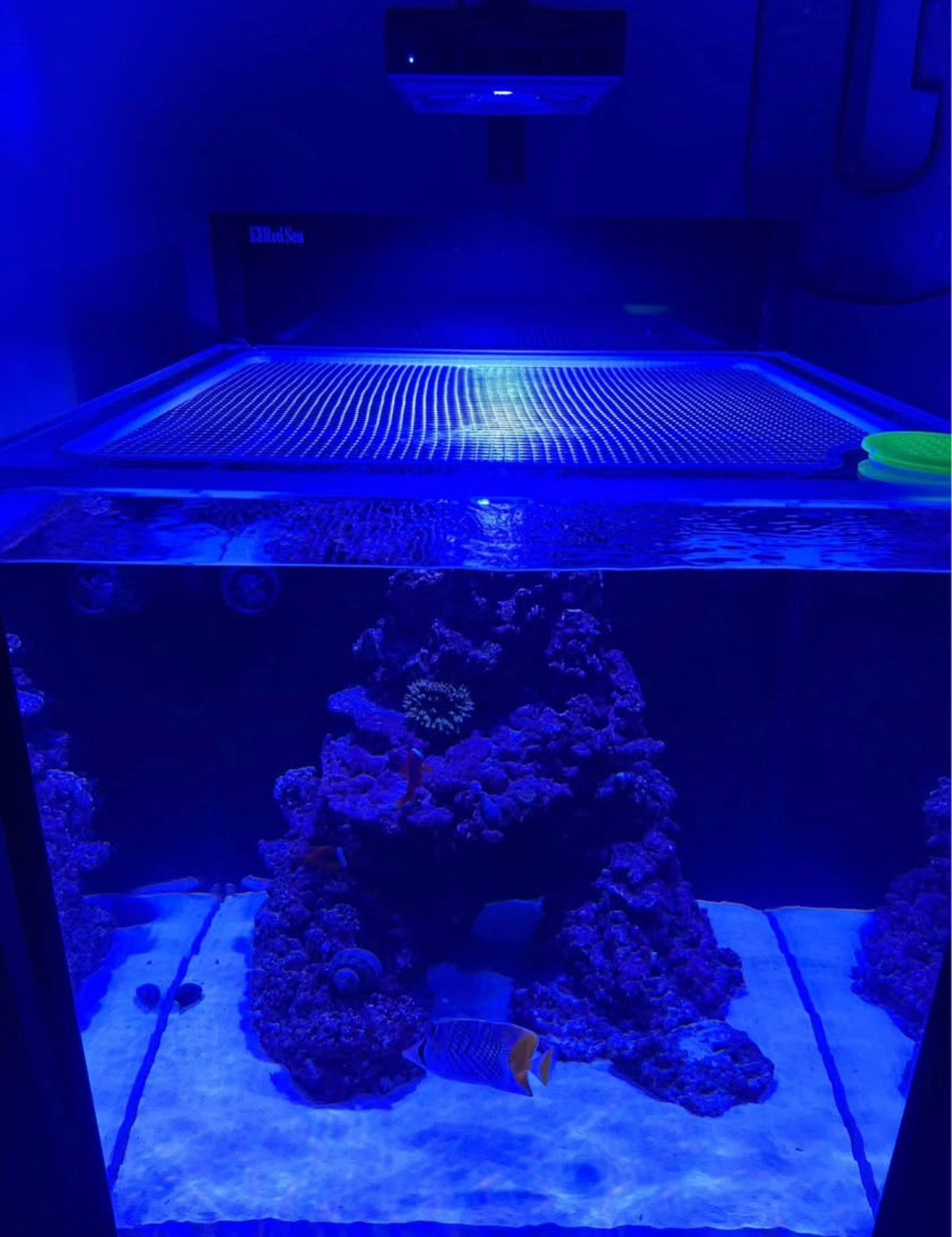 Red Sea Max Nano G2 20 | 26 | 33 Mesh Solid Frame Polycarbonate Aquarium Lid