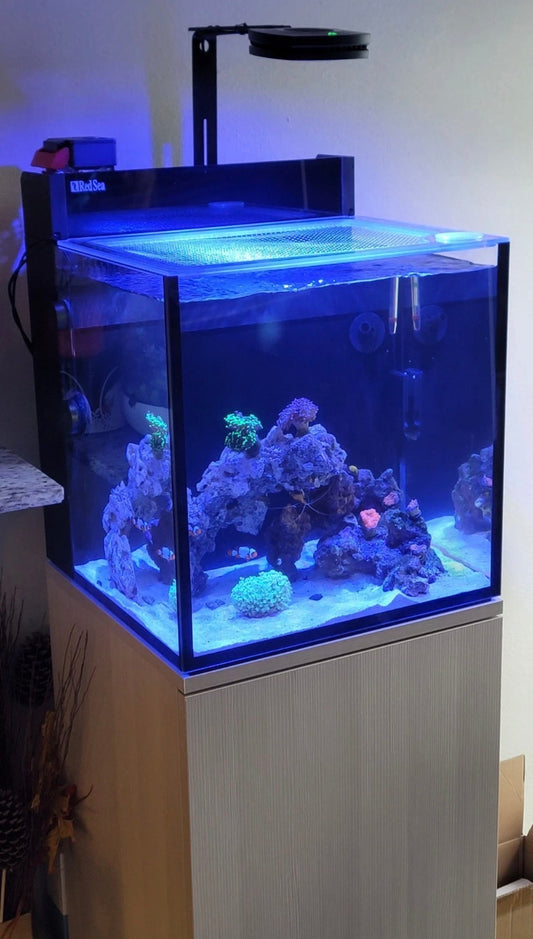 Red Sea Max Nano G2 20 | 26 | 33 Mesh Solid Frame Polycarbonate Aquarium Lid